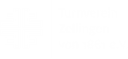 TV Zellingen Logo